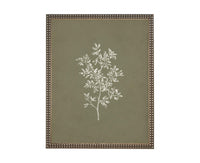 Vintage Framed Botanical Sketch #BOT-169