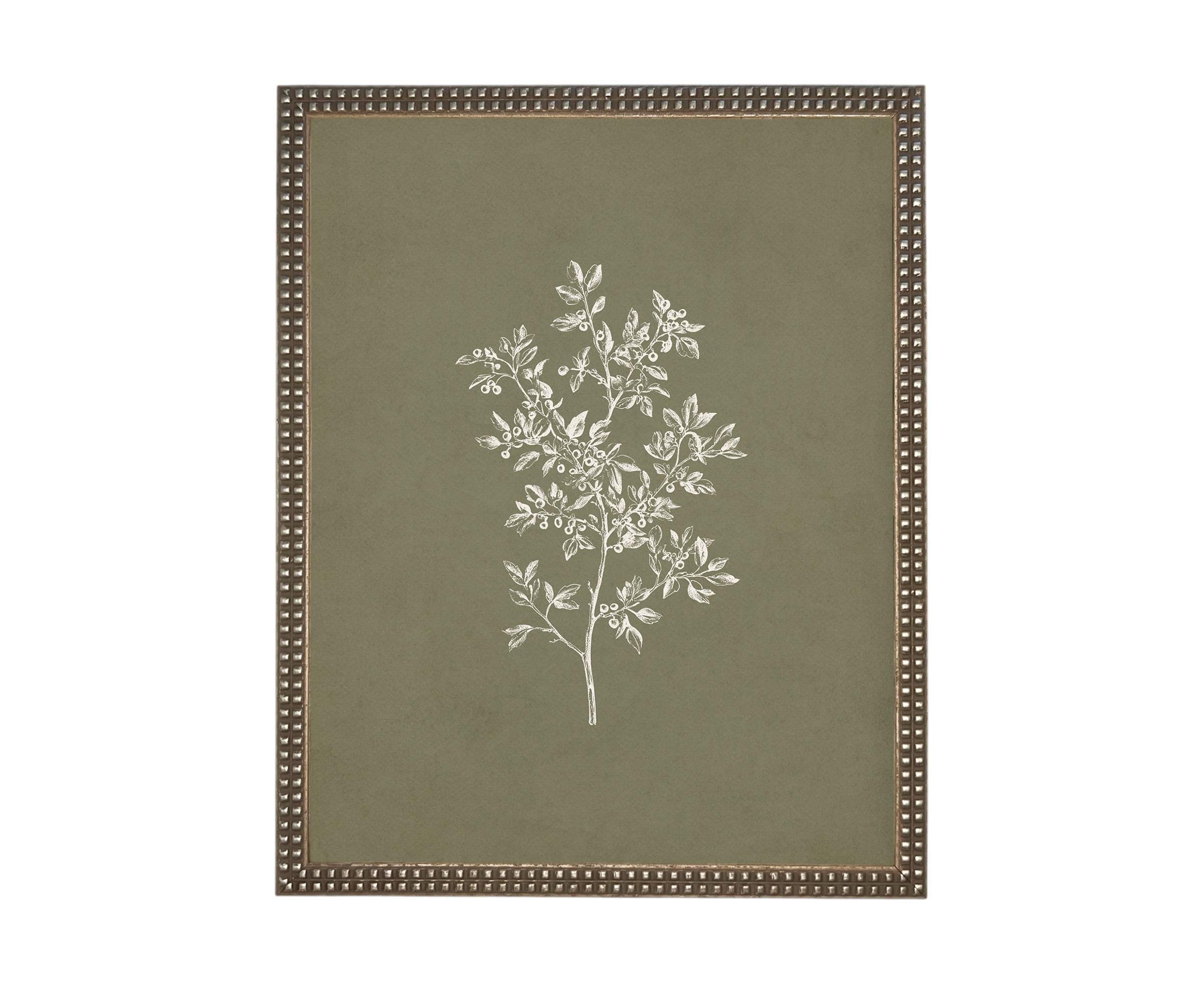 Vintage Framed Botanical Sketch #BOT-169