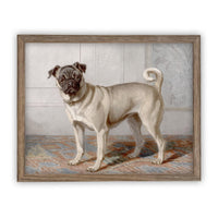 Framed Canvas Art #A-114