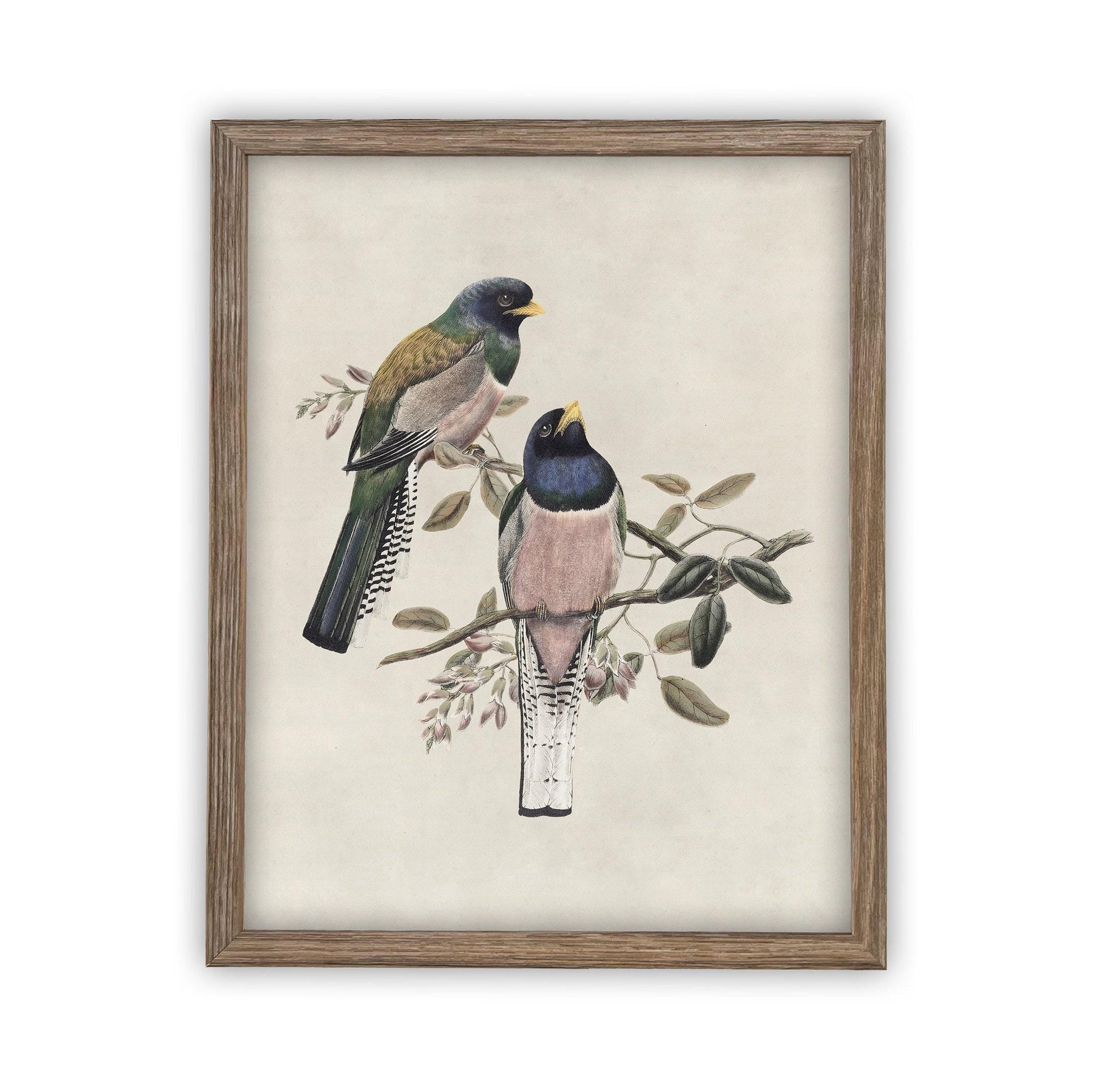 Framed Canvas Art #A-103