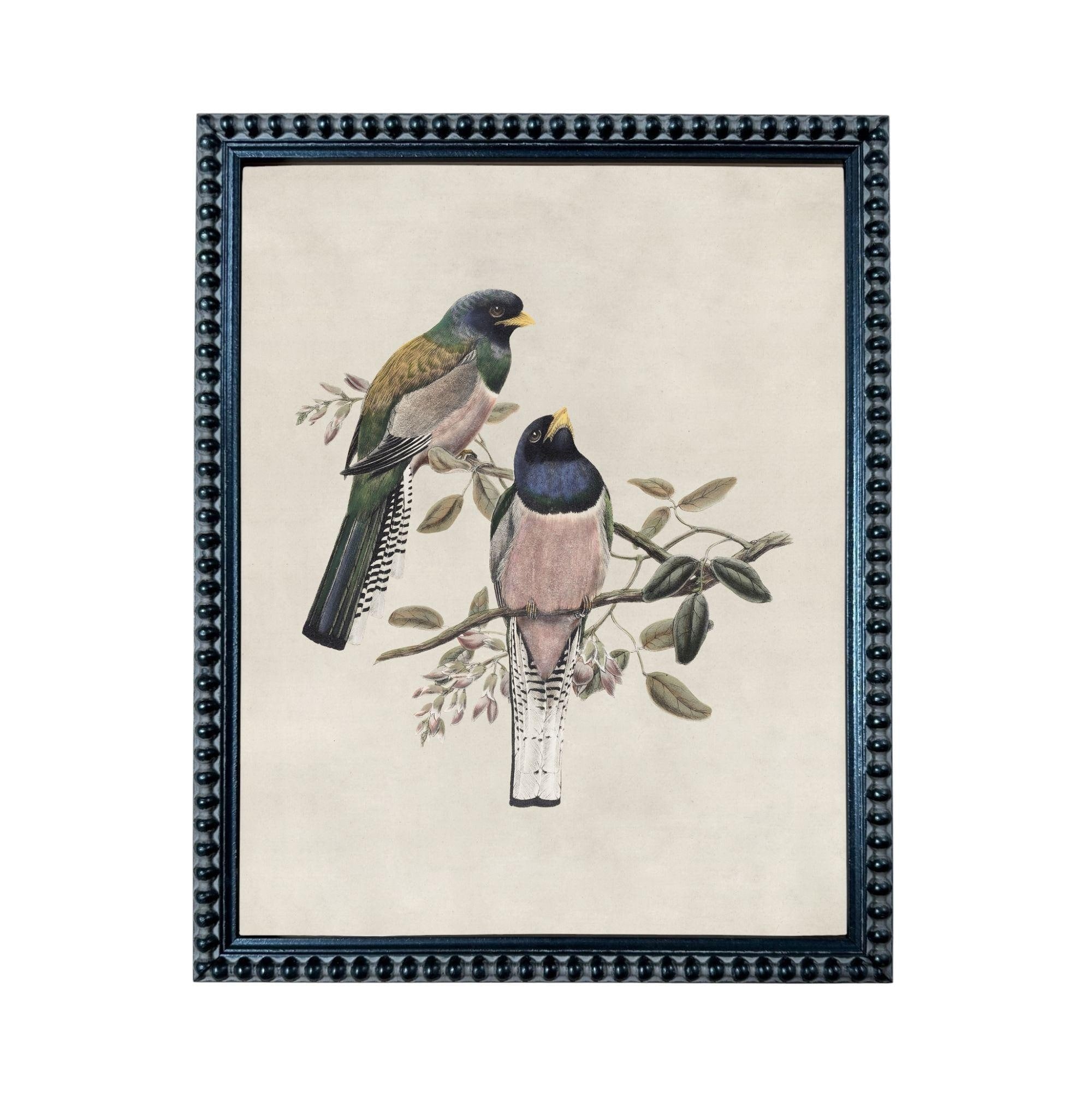 A framed illustration of two colorful birds perched on a branch with leaves and flowers.