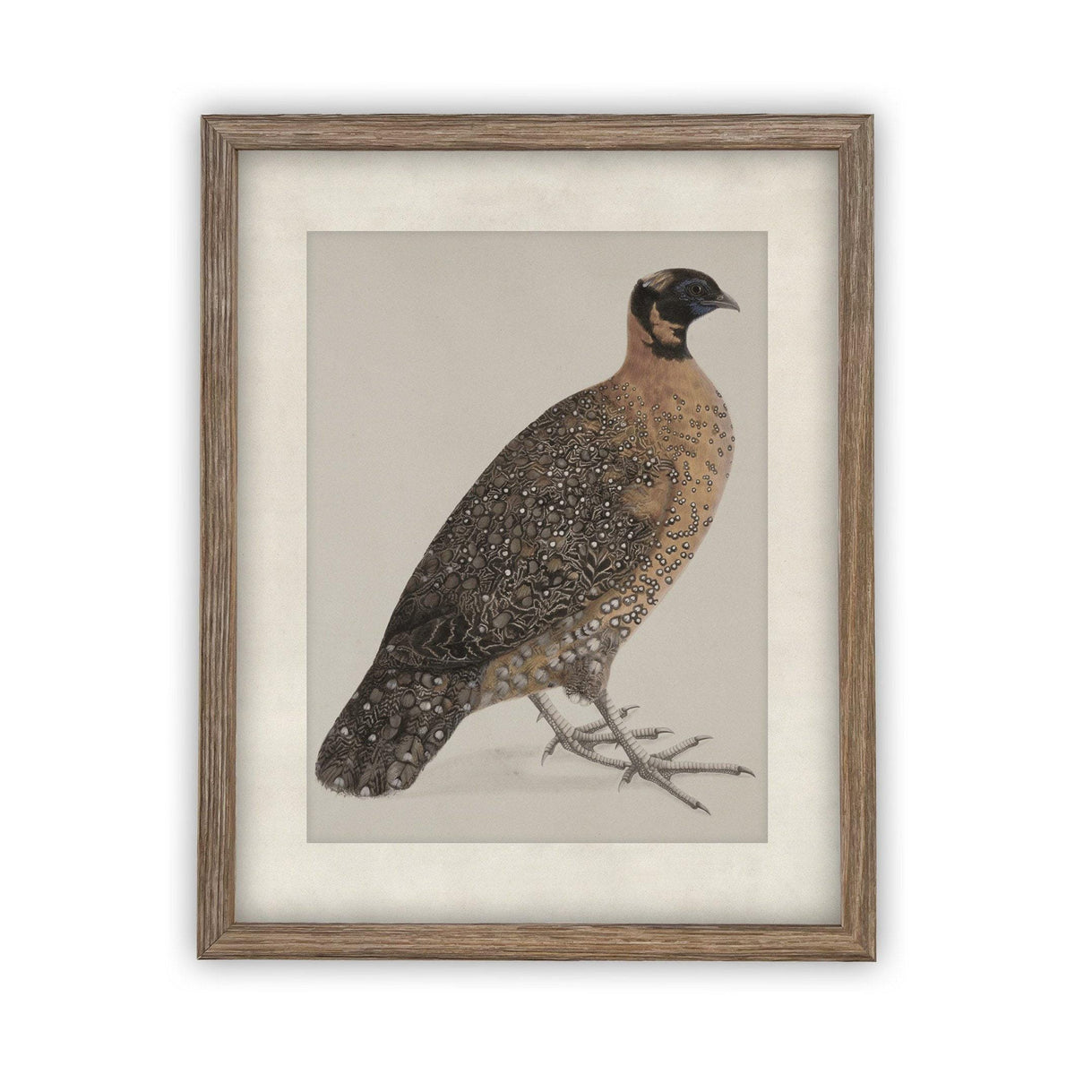 Vintage Framed Canvas Art #A-104