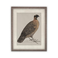 Vintage Framed Canvas Art #A-104