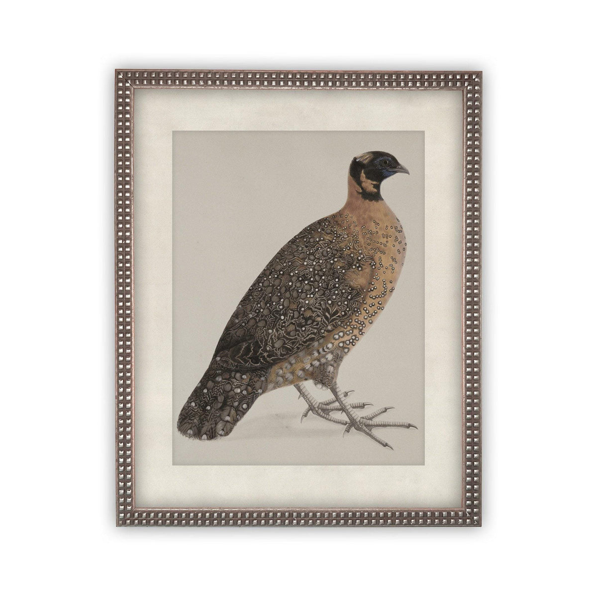 Vintage Framed Canvas Art #A-104