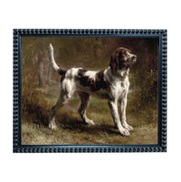A brown and white dog standing in a grassy field, with trees and foliage in the background.