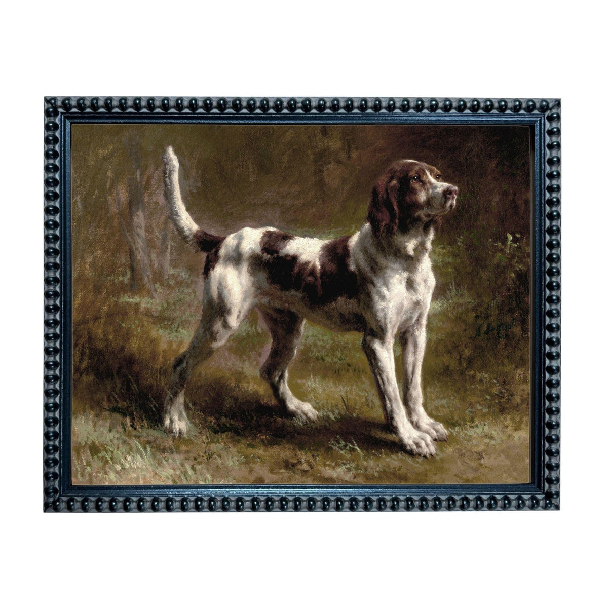 A brown and white dog standing in a grassy field, with trees and foliage in the background.
