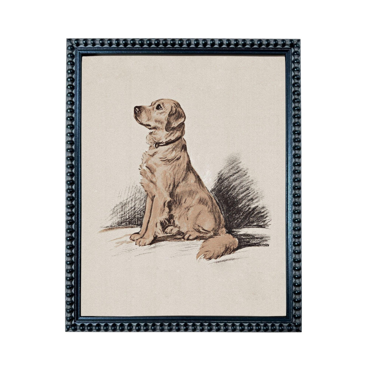 A framed illustration of a dog sitting on a surface, with a detailed and realistic depiction of the dog's posture and expression.