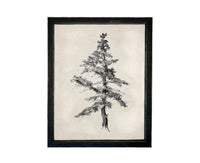 Vintage Framed Tree Sketch: Black and White Canvas Art Print #BOT-168