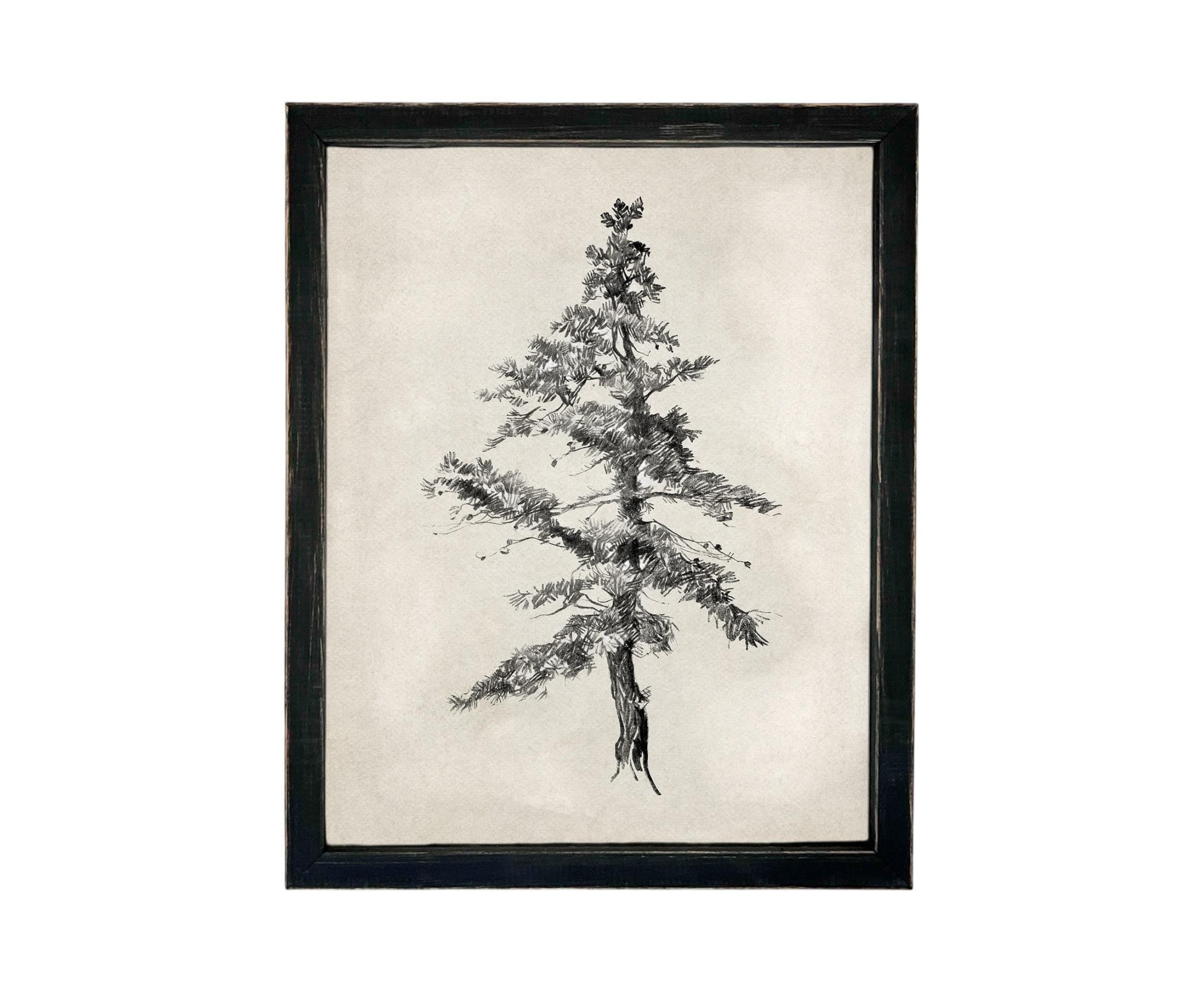 Vintage Framed Tree Sketch: Black and White Canvas Art Print #BOT-168