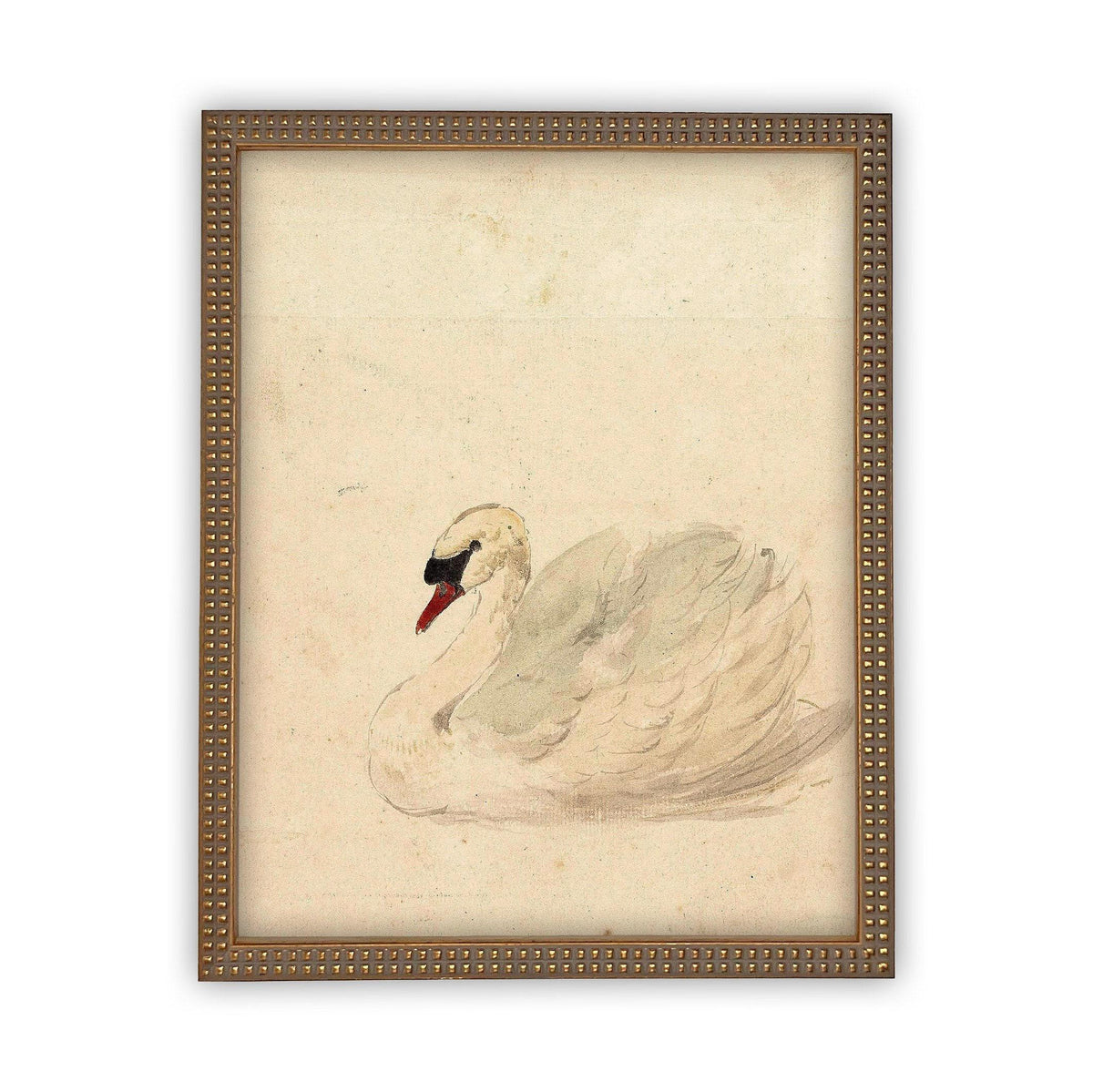 Vintage Framed Canvas White Swan Art #A-101