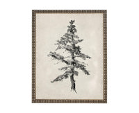 Vintage Framed Tree Sketch: Black and White Canvas Art Print #BOT-168