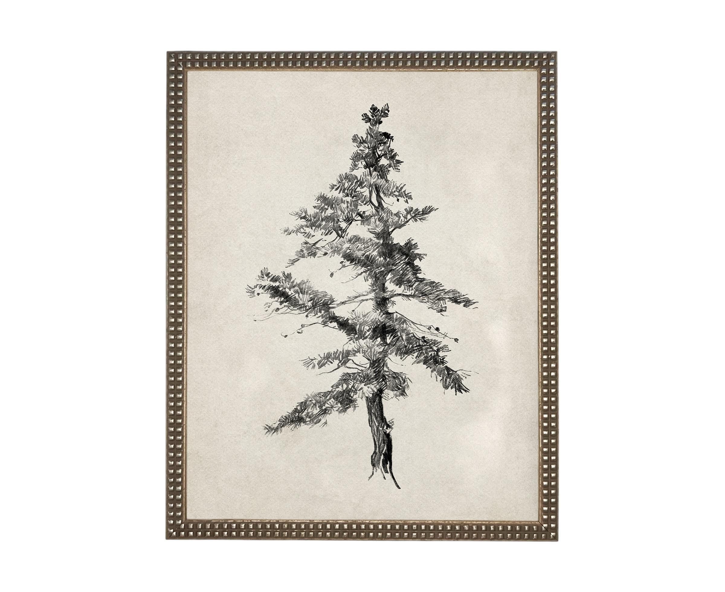 Vintage Framed Tree Sketch: Black and White Canvas Art Print #BOT-168