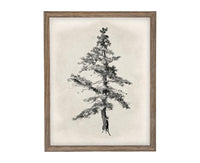 Vintage Framed Tree Sketch: Black and White Canvas Art Print #BOT-168