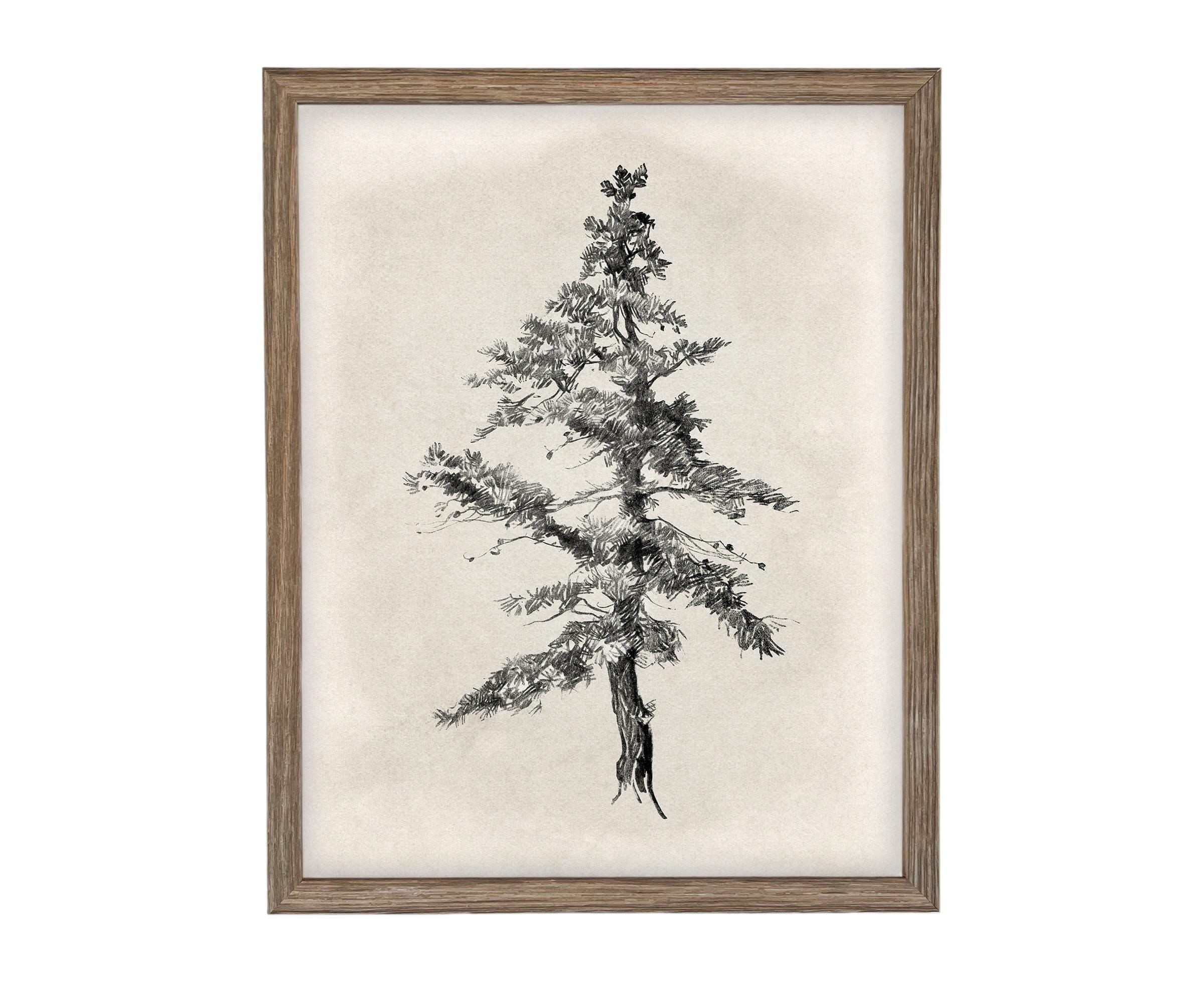 Vintage Framed Tree Sketch: Black and White Canvas Art Print #BOT-168