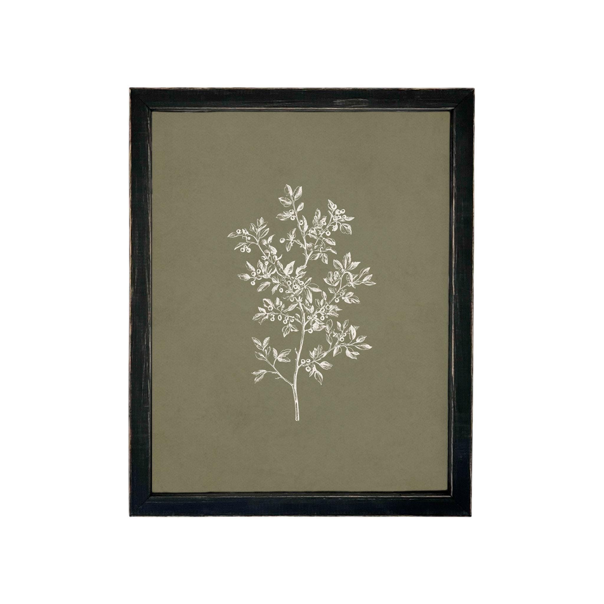 Framed Vintage Botanical Print on Canvas #ST-169