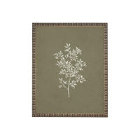 Framed Vintage Botanical Print on Canvas #ST-169