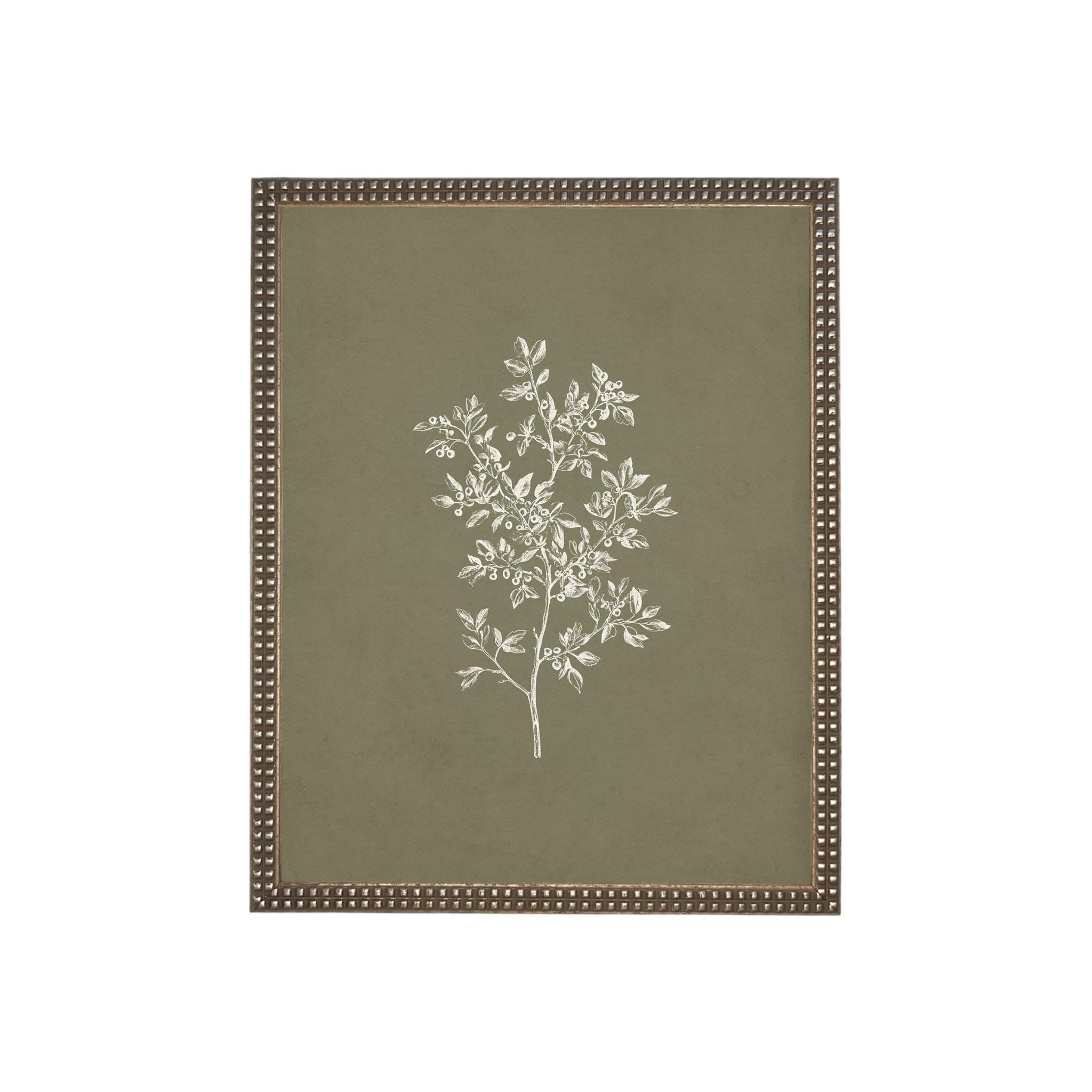 Framed Vintage Botanical Print on Canvas #ST-169