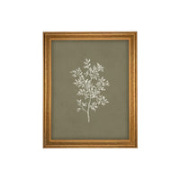 Framed Vintage Botanical Print on Canvas #ST-169