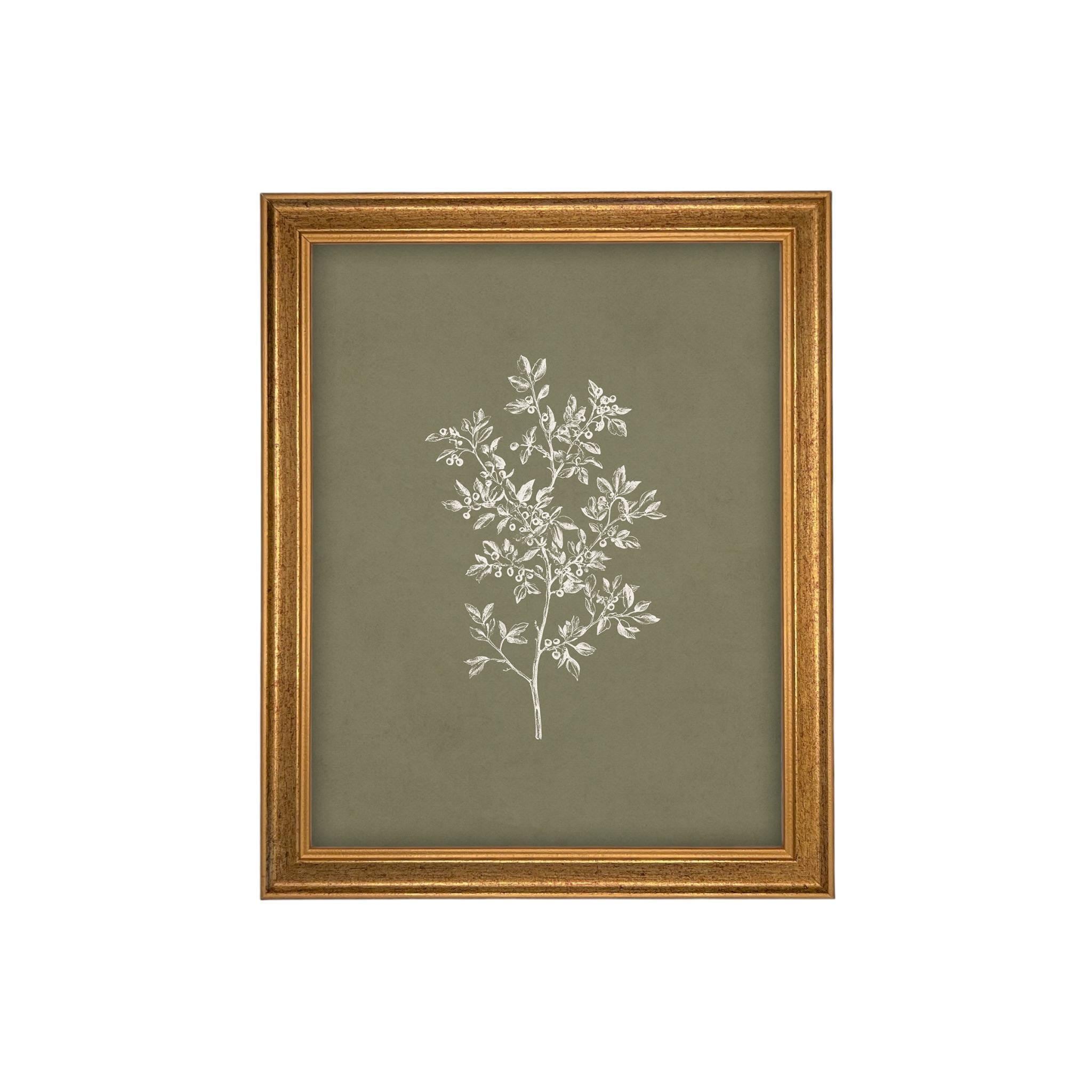Framed Vintage Botanical Print on Canvas #ST-169