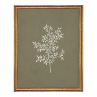 Framed Vintage Botanical Print on Canvas #ST-170