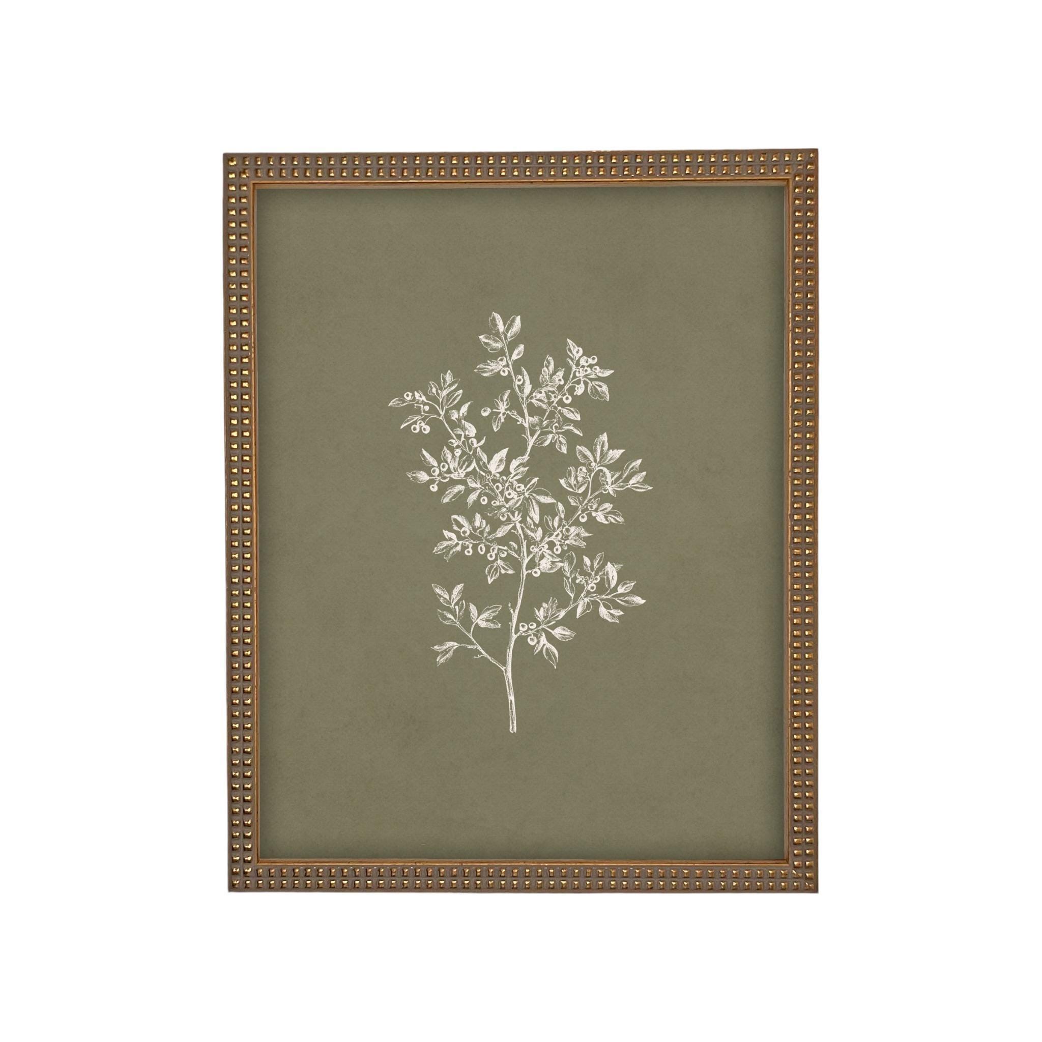 Framed Vintage Botanical Print on Canvas #ST-169