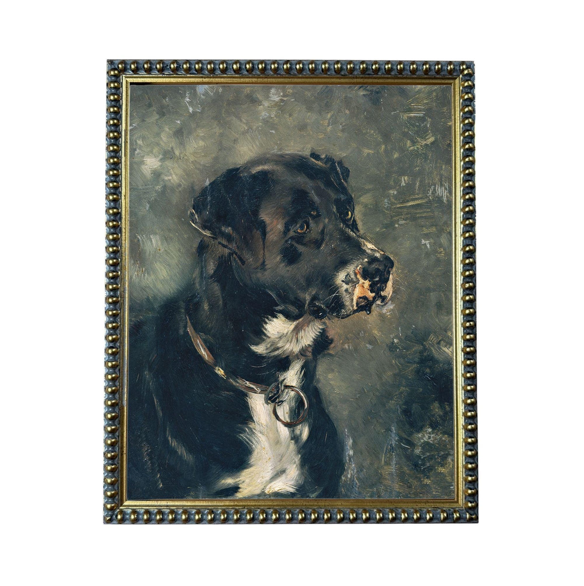 The image is a painting of a black and white dog, likely a Labrador retriever, with a collar around its neck.