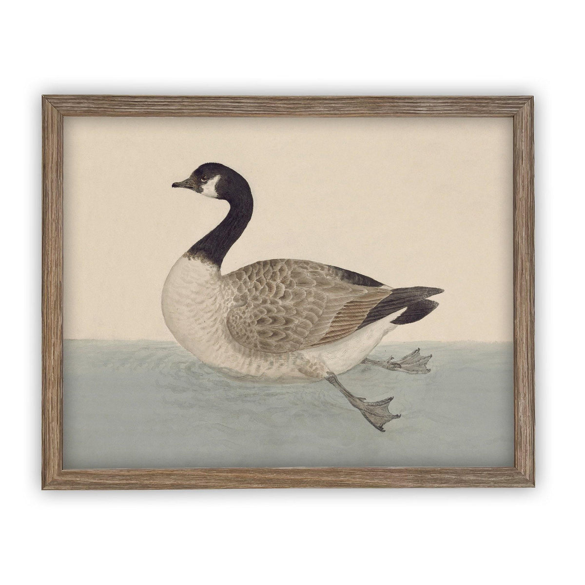 Framed Canvas Art #A-105