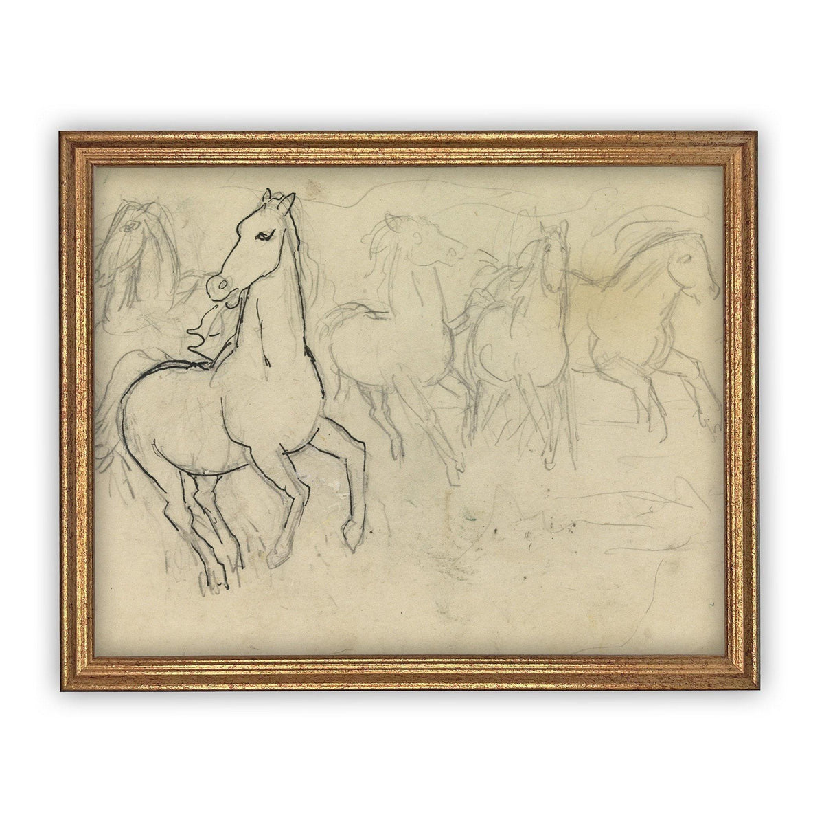 READY to SHIP 8X10 Vintage Framed Horse Sketch Art Print: Farmhouse Canvas