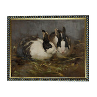 two rabbits sitting together in a grassy area.
