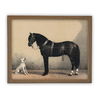 Framed Canvas Art #A-124