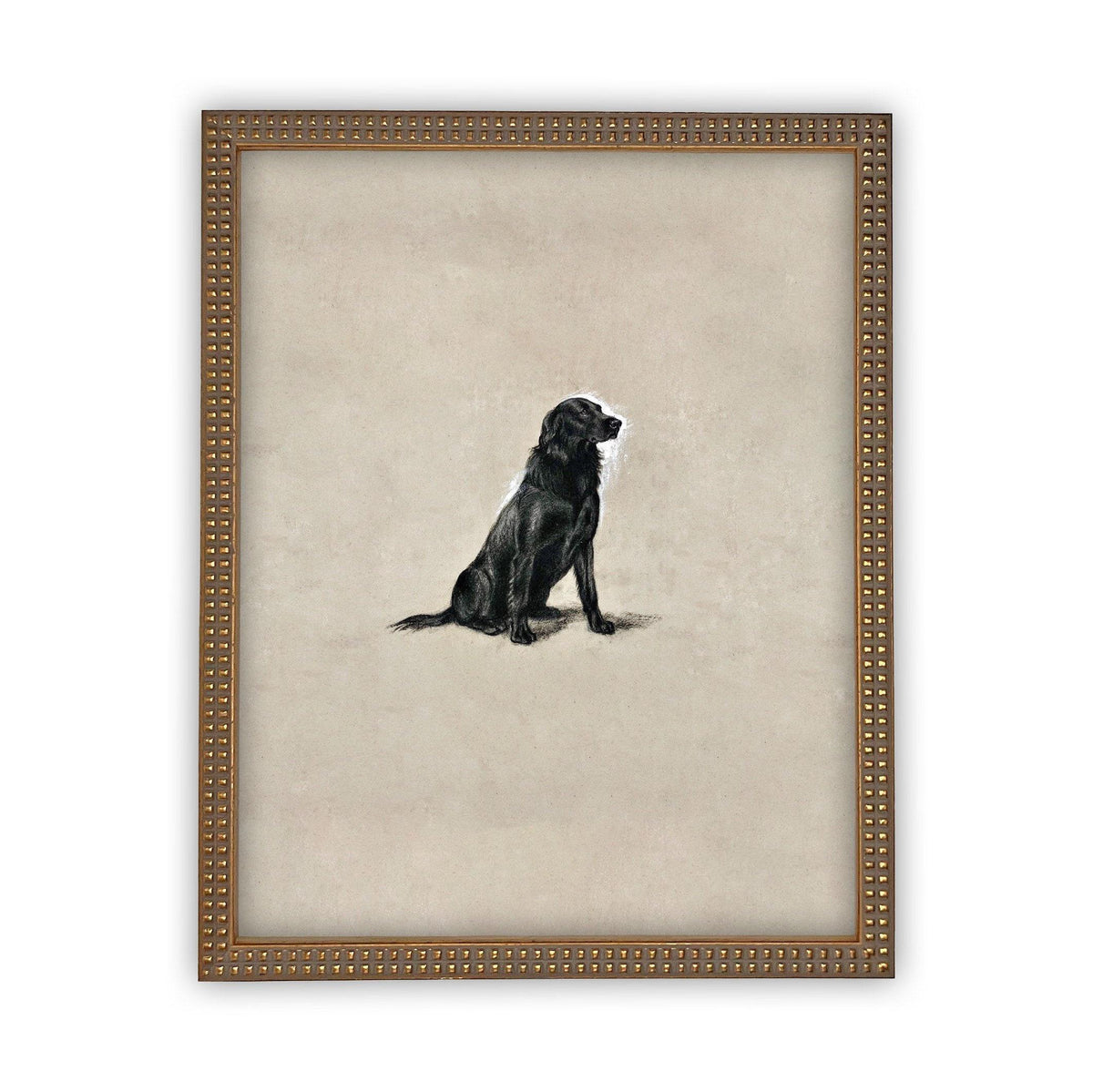 Framed Canvas Art #A-118