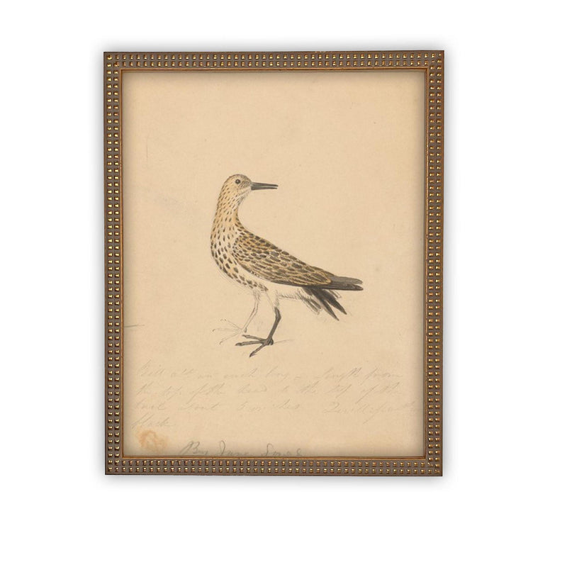 Vintage Framed Canvas Art #A-182