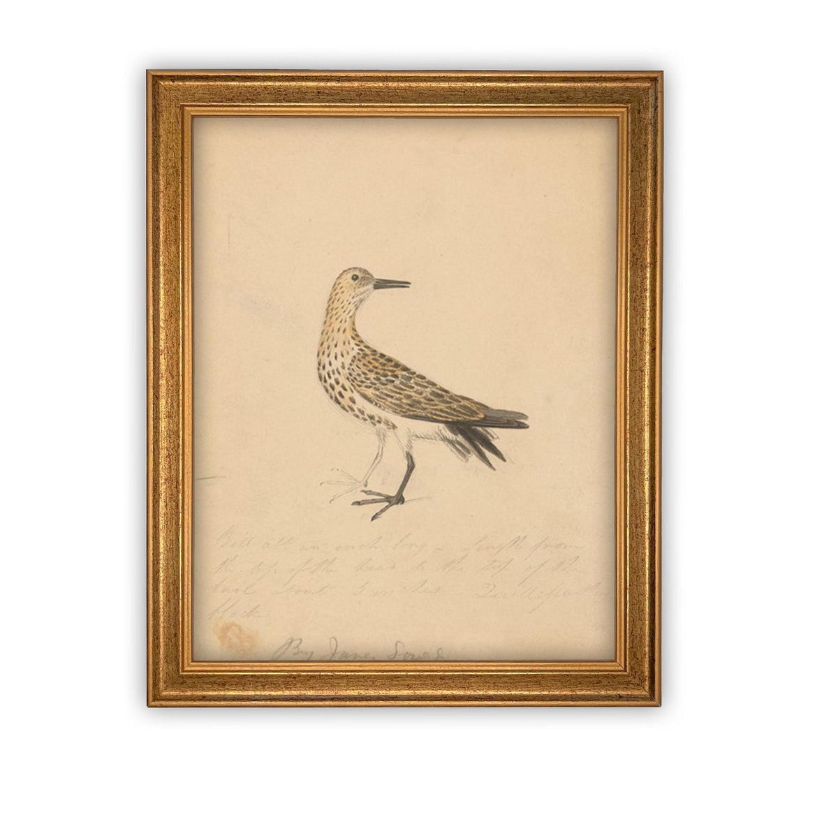 Vintage Framed Canvas Art #A-182