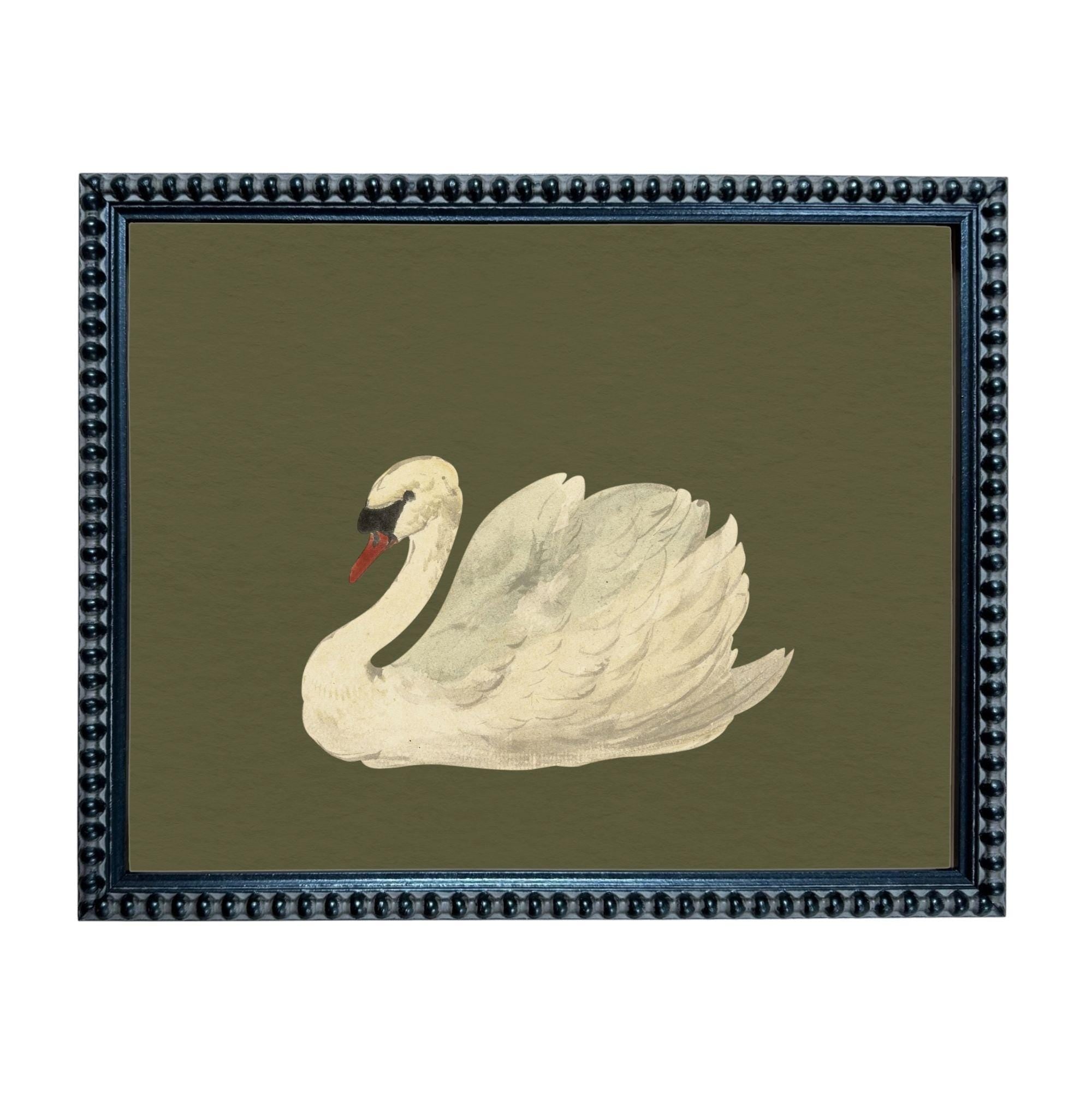 A framed image of a white swan with a red beak, set against a dark green background.