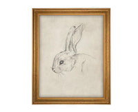 Vintage Framed Bunny Sketch Art #A-204