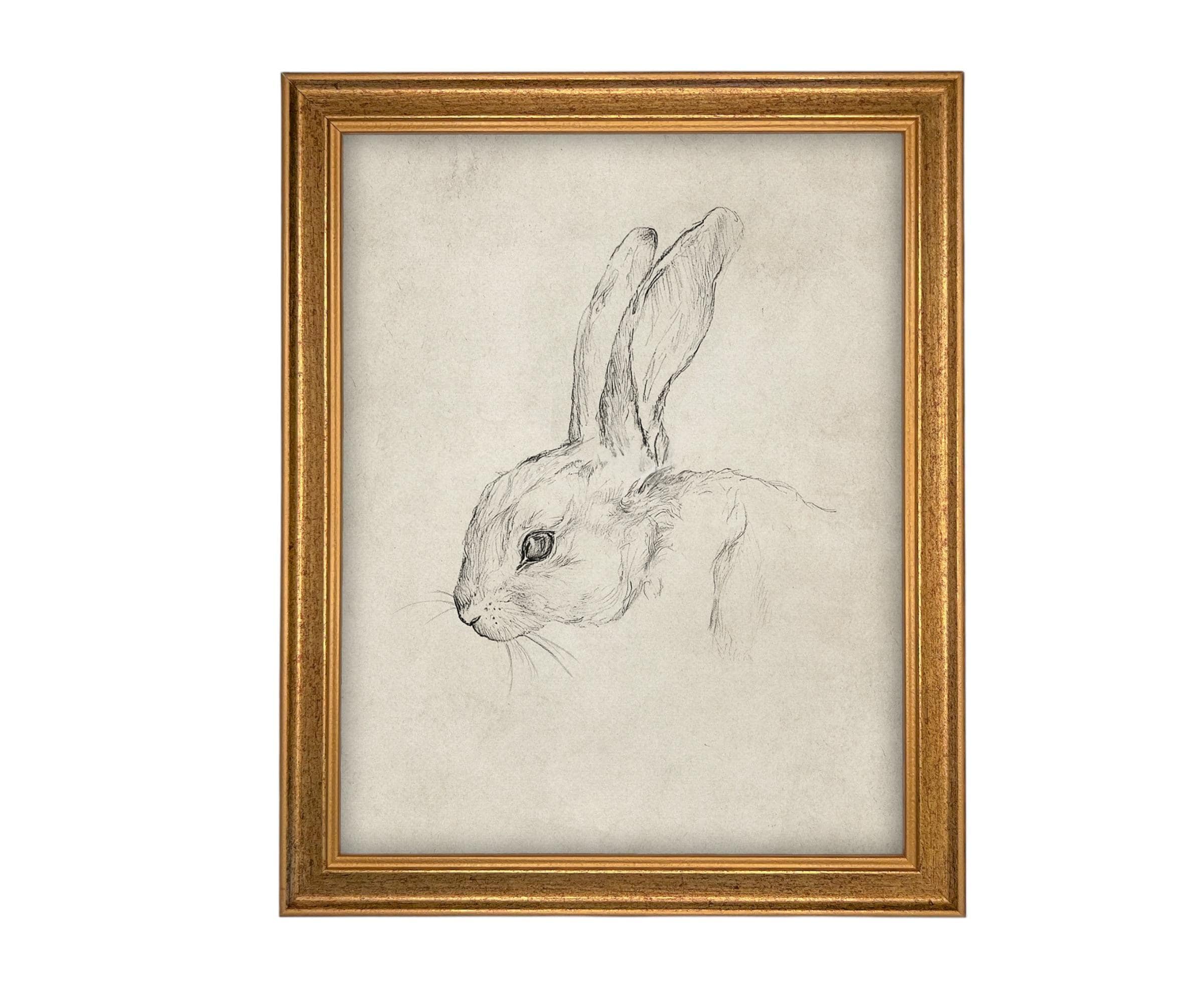Vintage Framed Bunny Sketch Art #A-204