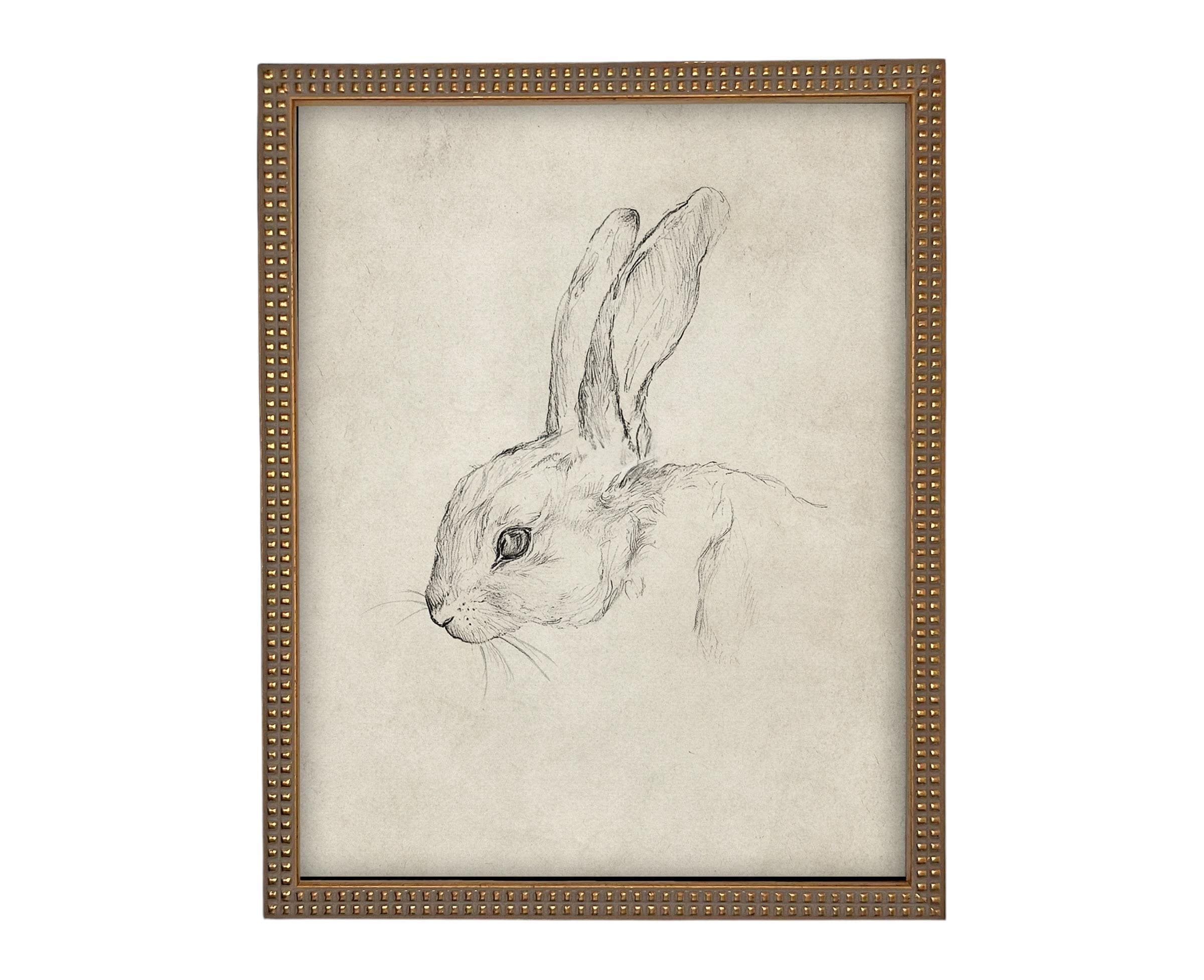 Vintage Framed Bunny Sketch Art #A-204