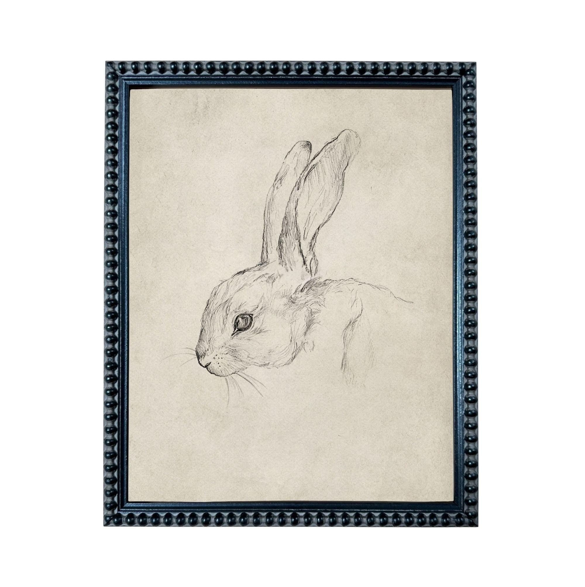 A framed drawing of a rabbit's head in black and white.
