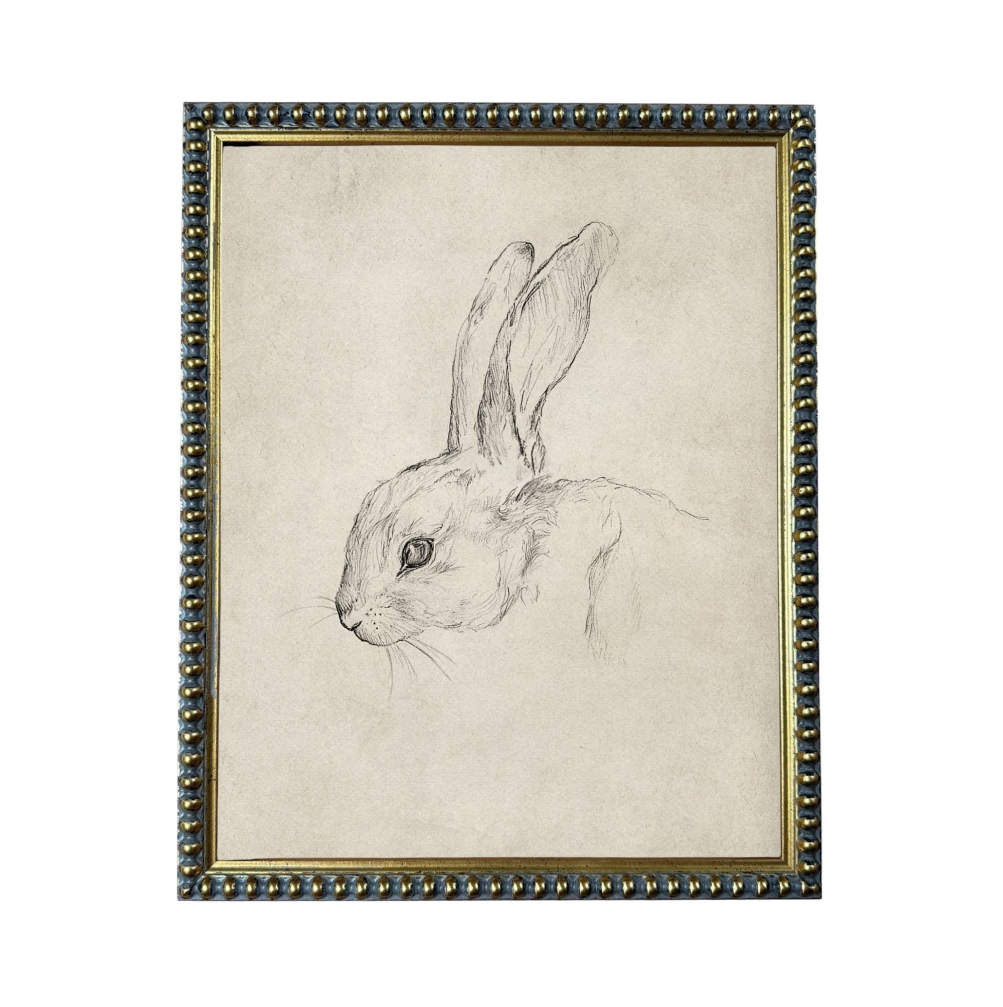 A framed drawing of a rabbit's head in black and white.
