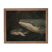 two large gray and white marine mammals, possibly whales, swimming in a dark, shadowy environment.