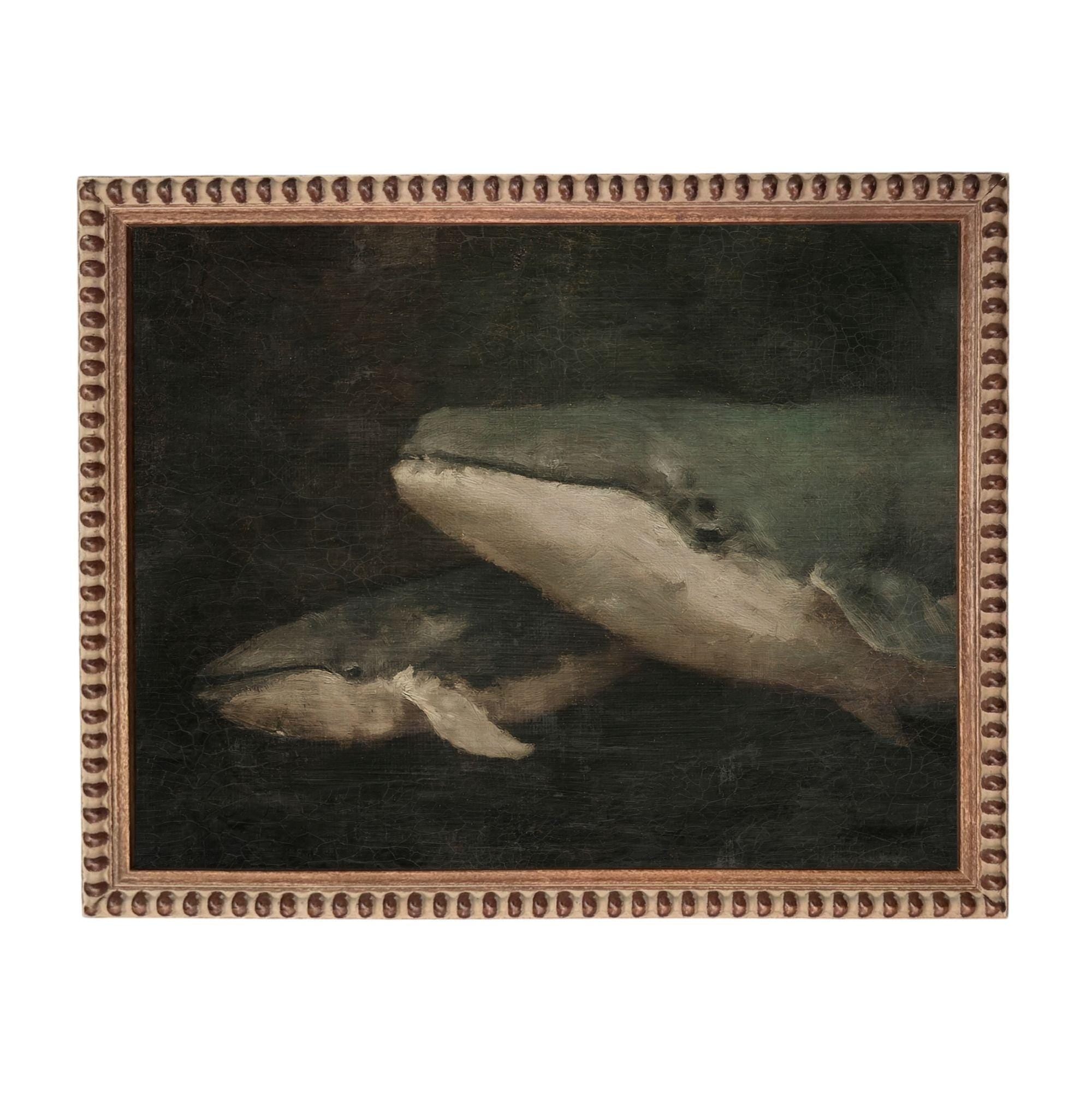 two large gray and white marine mammals, possibly whales, swimming in a dark, shadowy environment.