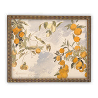 Framed Farmhouse Canvas Art #BOT-110