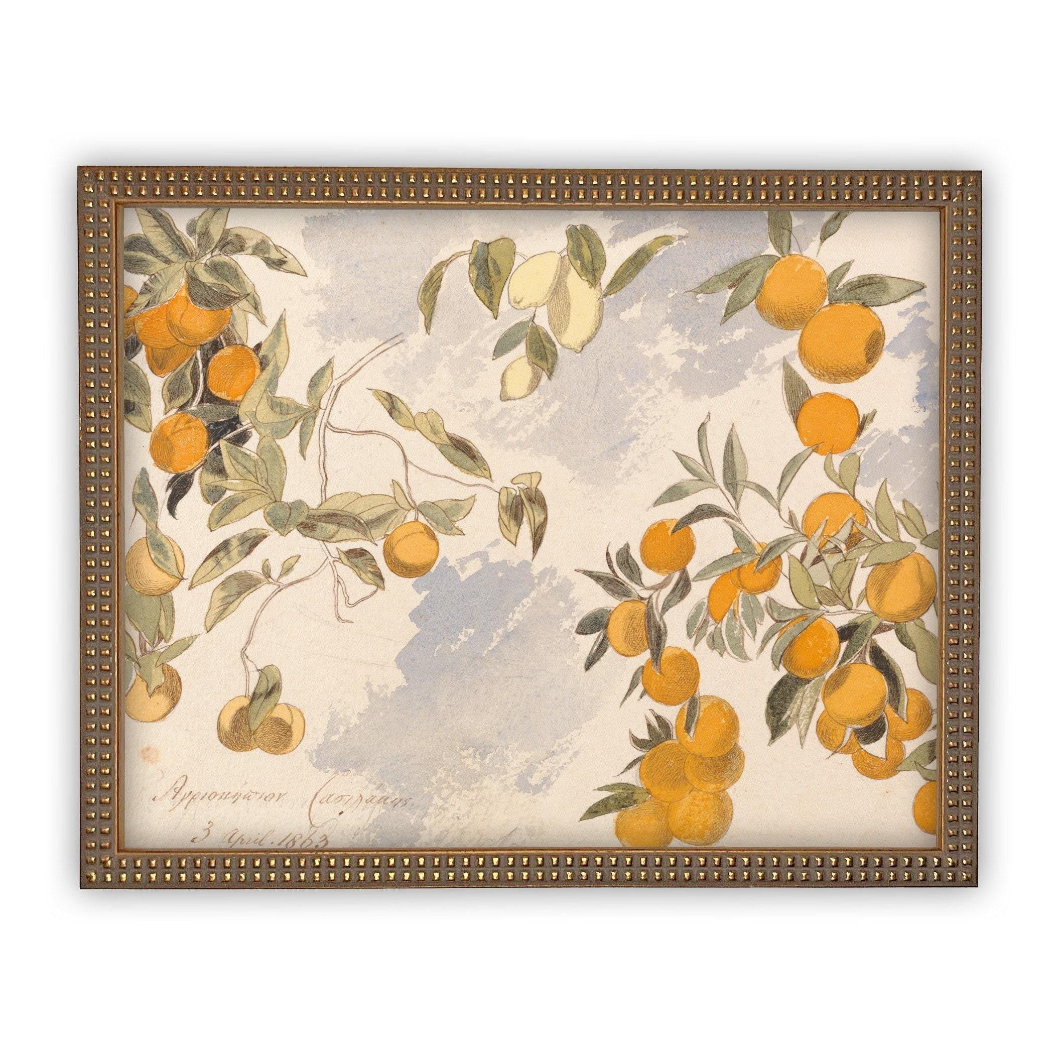 Framed Farmhouse Canvas Art #BOT-110