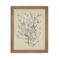 Vintage Framed Canvas Art #BOT-130