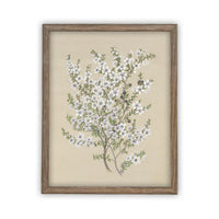 Vintage Framed Canvas Art #BOT-130