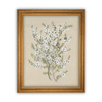 Vintage Framed Canvas Art #BOT-130