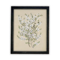 Vintage Framed Canvas Art #BOT-130