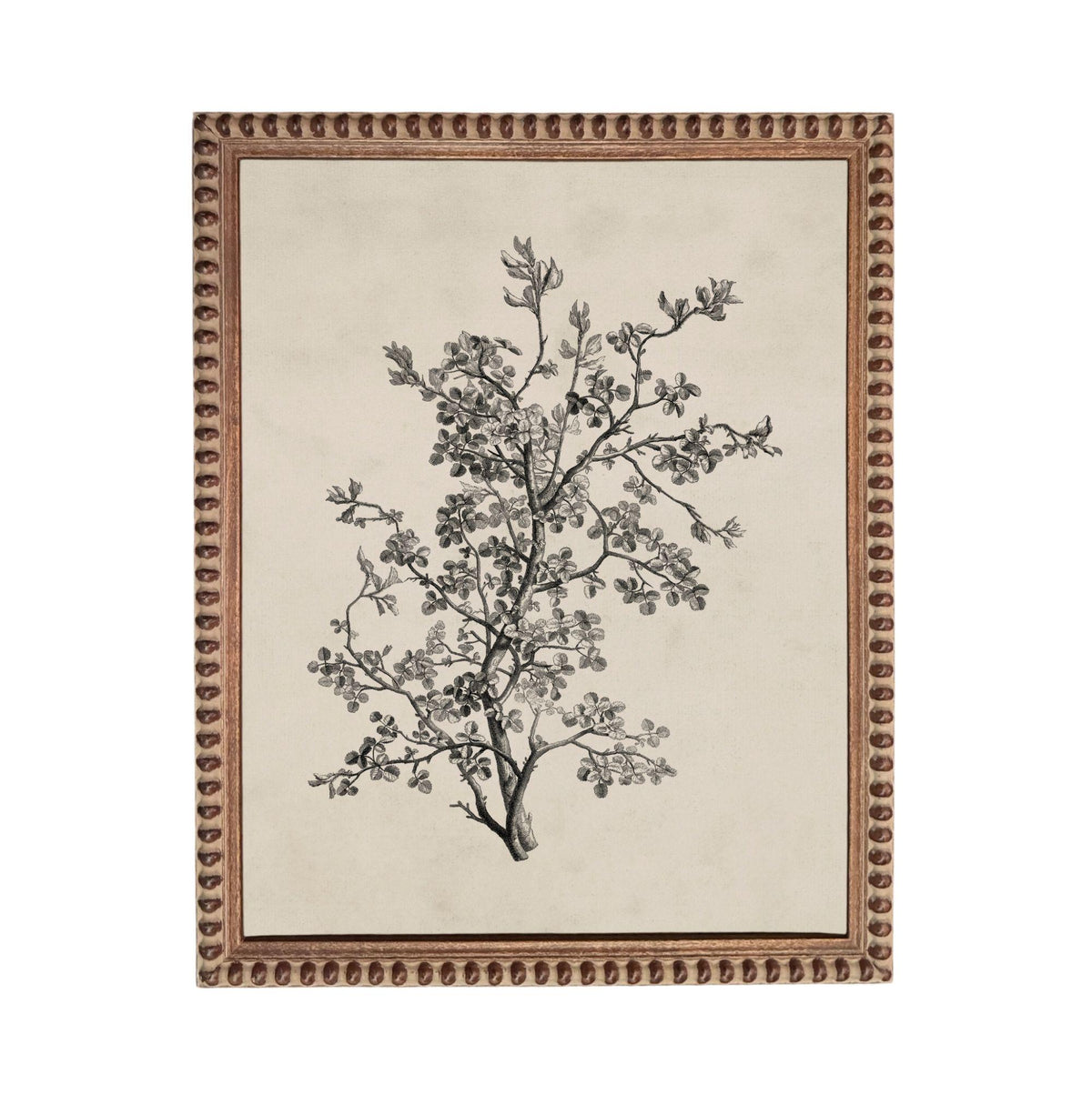 a detailed black and white illustration of a tree with intricate branches and leaves.