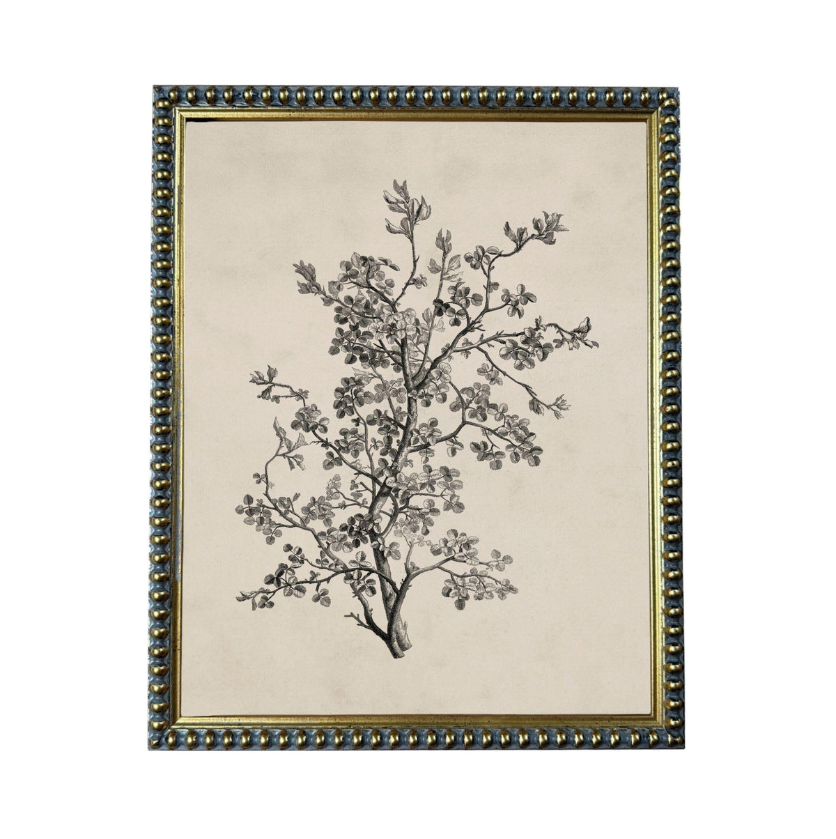 a detailed black and white illustration of a tree with intricate branches and leaves.