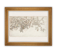 Framed Citrus Tree Sketch #BOT-111